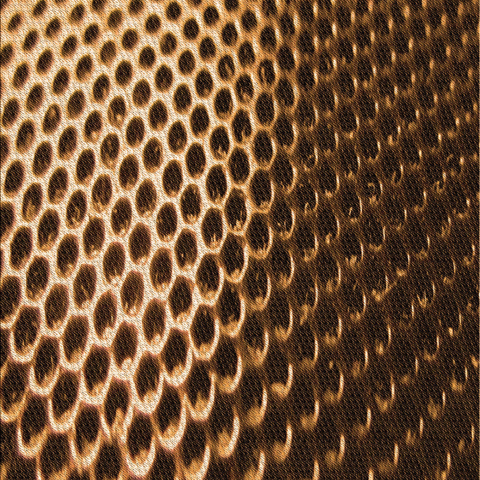 Patterned Red Rug, pat2227org