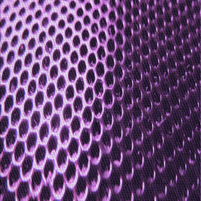 Patterned Purple Rug, pat2227pur