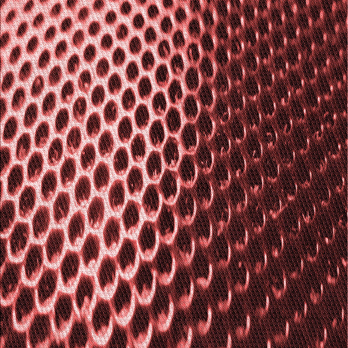 Patterned Maroon Red Rug, pat2227rd