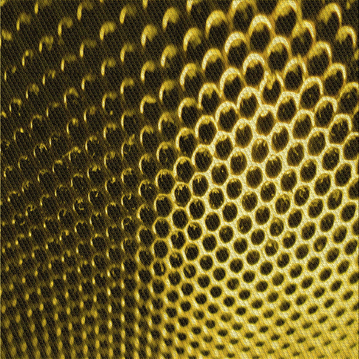 Round Patterned Black Brown Rug, pat2227yw