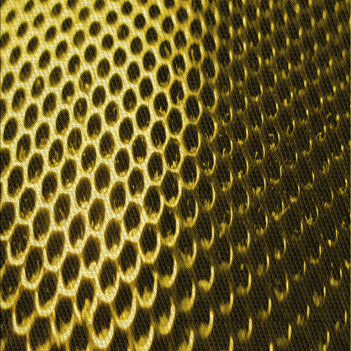 Patterned Black Brown Rug, pat2227yw