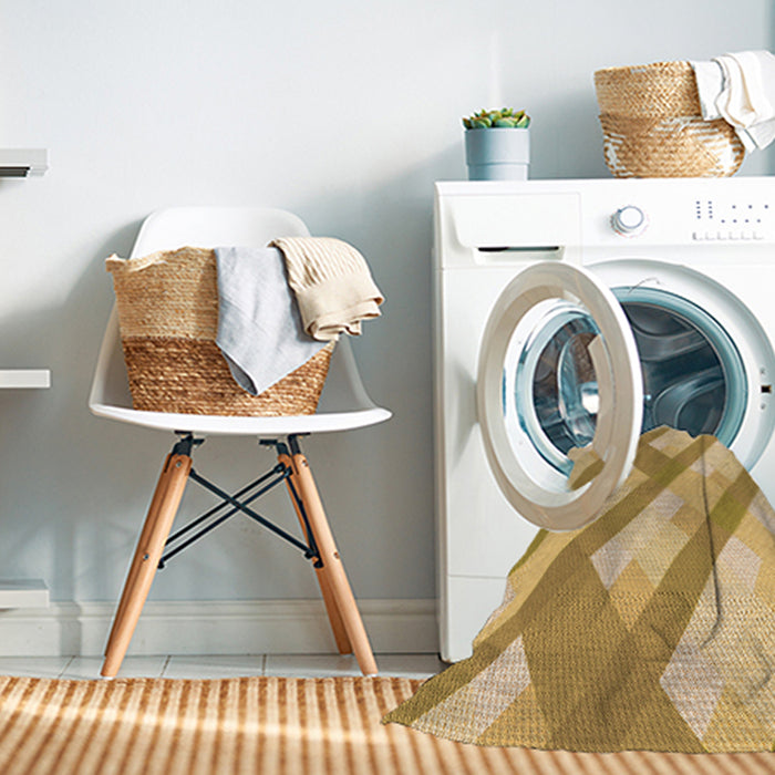 Machine Washable Transitional Cinnamon Brown Rug in a Washing Machine, wshpat223org