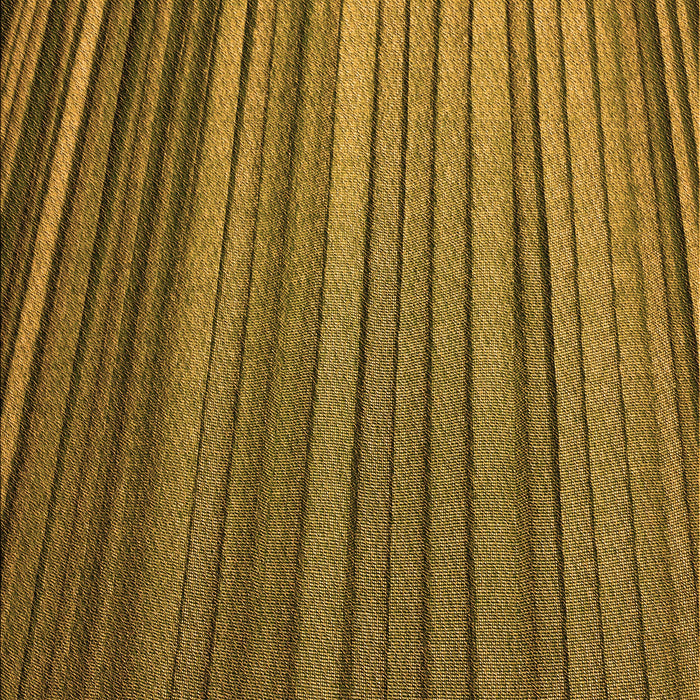 Patterned Dark Bronze Brown Rug, pat2231org