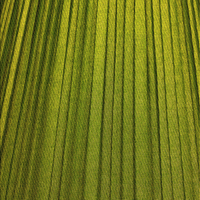 Patterned Pistachio Green Rug, pat2231yw