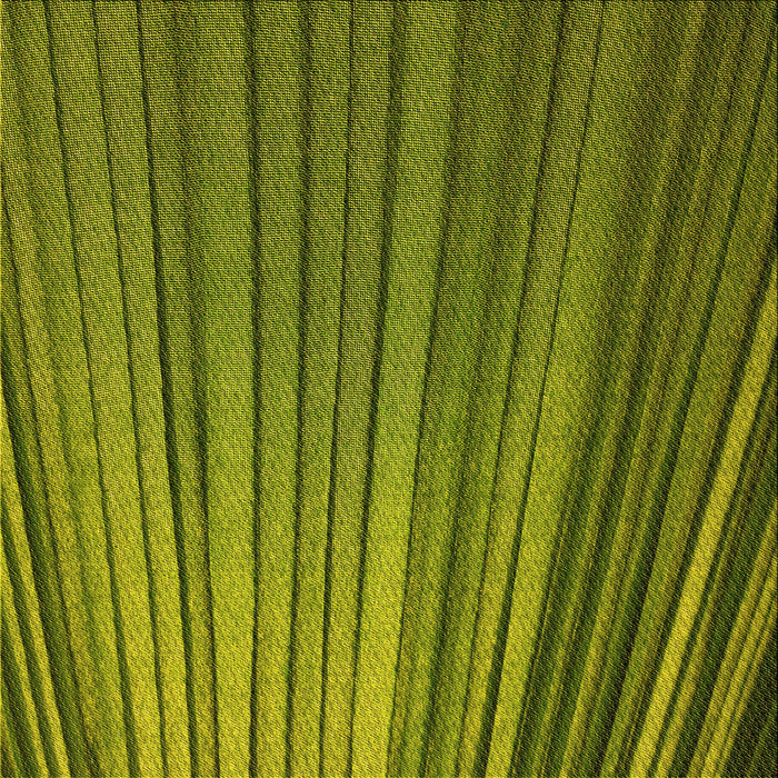 Round Machine Washable Transitional Pistachio Green Rug, wshpat2231yw