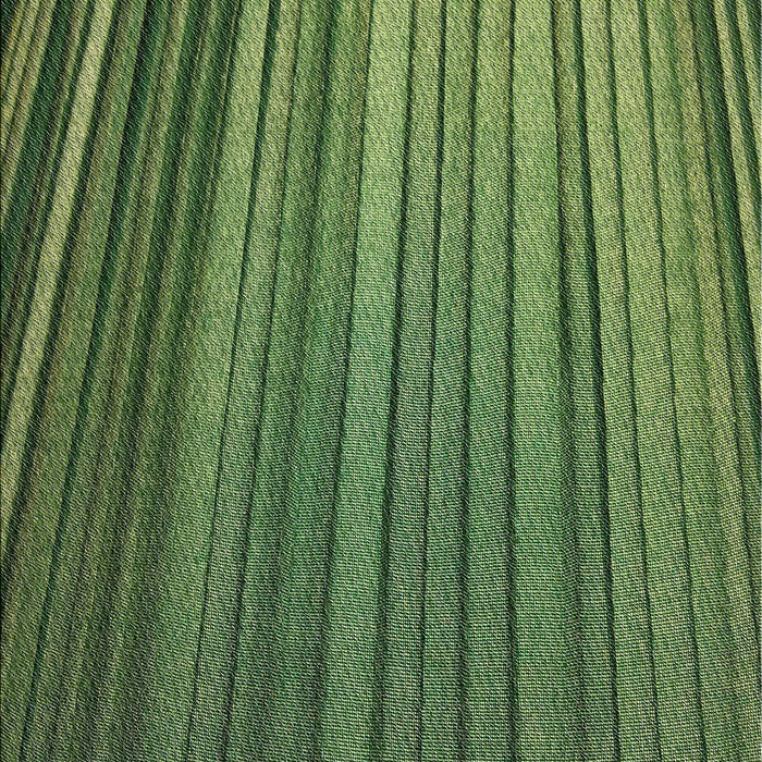 Machine Washable Transitional Dark Forest Green Rug, wshpat2231