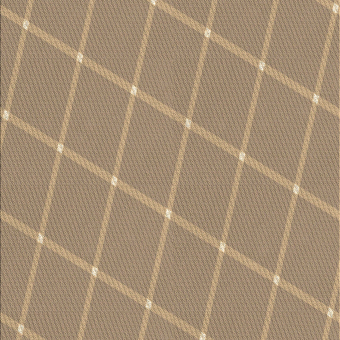 Patterned Brown Sand Brown Rug, pat2233brn