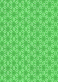 Machine Washable Transitional Neon Green Rug, wshpat2235grn