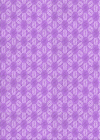 Machine Washable Transitional Violet Purple Rug, wshpat2235pur