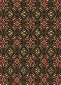 Machine Washable Transitional Sienna Brown Rug, wshpat2244brn