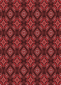 Machine Washable Transitional Red Rug, wshpat2244rd