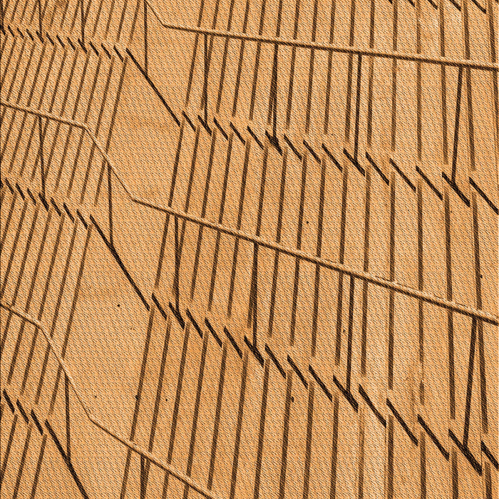 Patterned Orange Rug, pat2248org