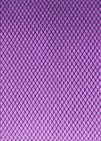 Machine Washable Transitional Purple Rug, wshpat2250pur