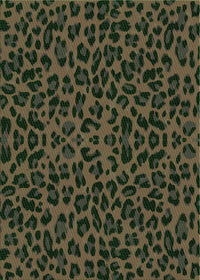 Machine Washable Transitional Fern Green Rug, wshpat2252grn