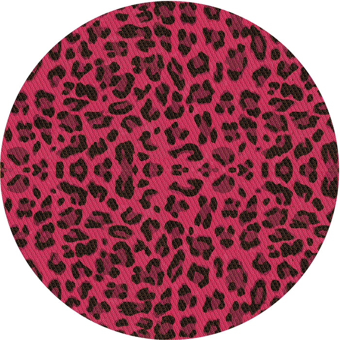 Square Machine Washable Transitional Crimson Red Rug in a Living Room, wshpat2252org