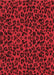 Patterned Red Rug, pat2252rd