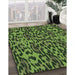 Patterned Dark Forest Green Rug in Family Room, pat2253grn