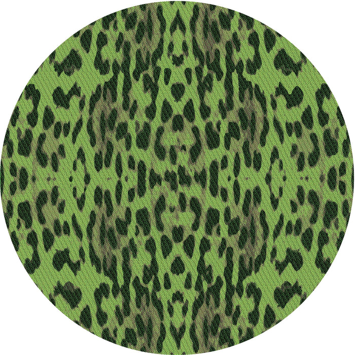Square Machine Washable Transitional Dark Forest Green Rug in a Living Room, wshpat2253grn