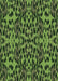 Machine Washable Transitional Dark Forest Green Rug, wshpat2253grn