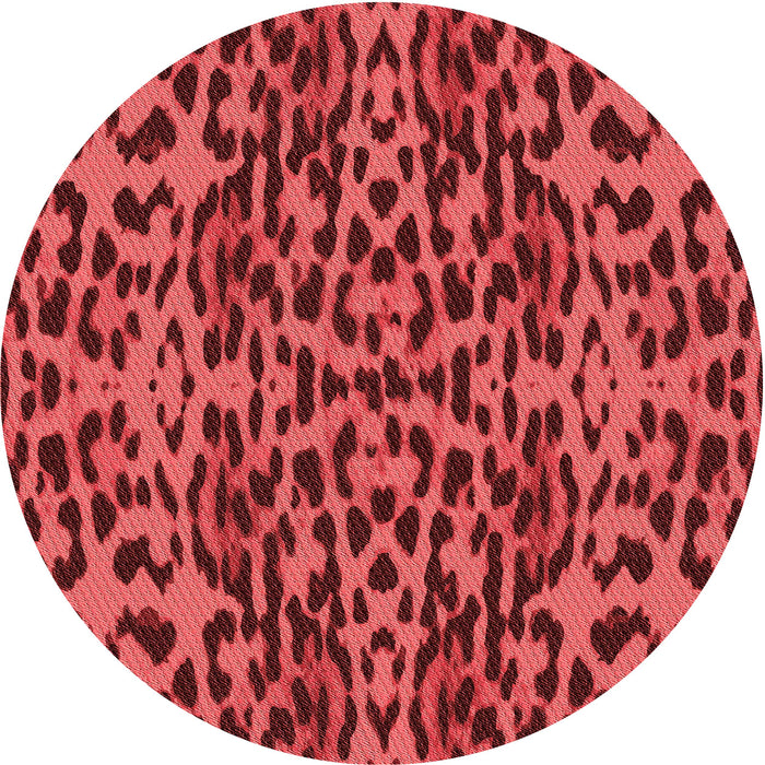 Square Machine Washable Transitional Red Rug in a Living Room, wshpat2253rd