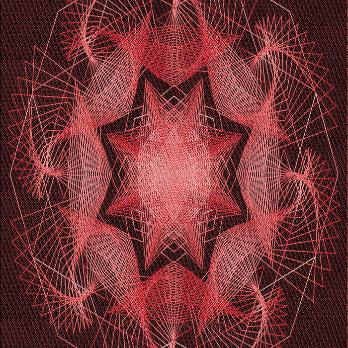 Machine Washable Transitional Fire Brick Red Rug, wshpat2255rd