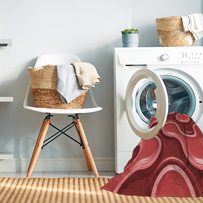 Machine Washable Transitional Red Rug in a Washing Machine, wshpat2265rd