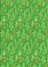 Patterned Dark Lime Green Rug, pat2270grn