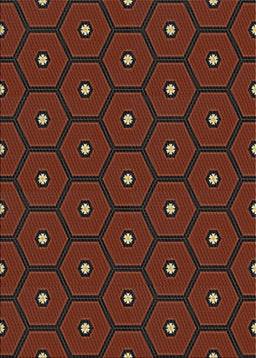 Machine Washable Transitional Red Rug, wshpat2272