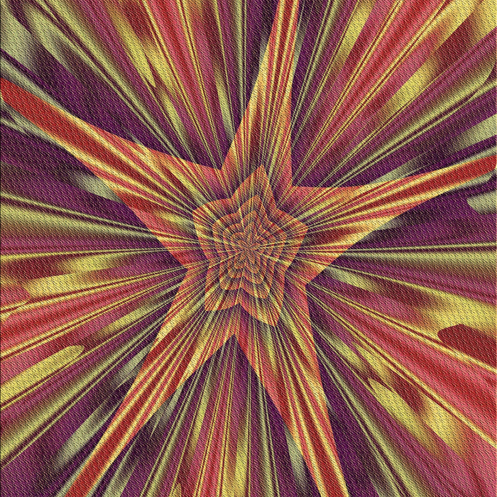 Machine Washable Transitional Cinnamon Brown Rug, wshpat2276brn