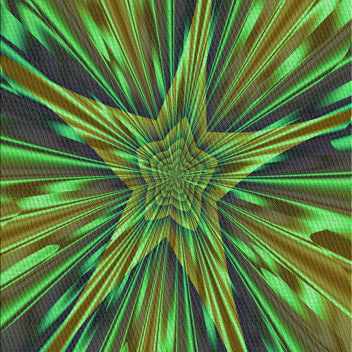 Machine Washable Transitional Chocolate Brown Rug, wshpat2276grn