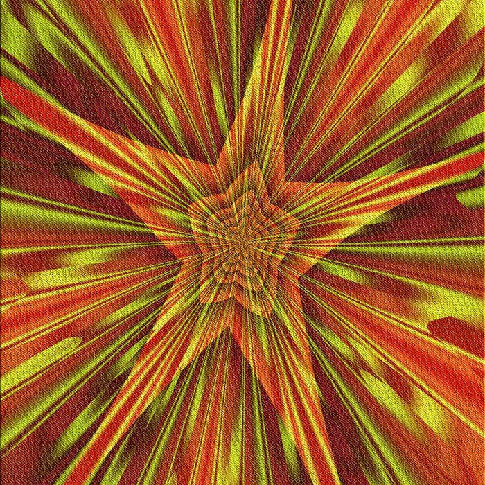 Machine Washable Transitional Red Rug, wshpat2276yw