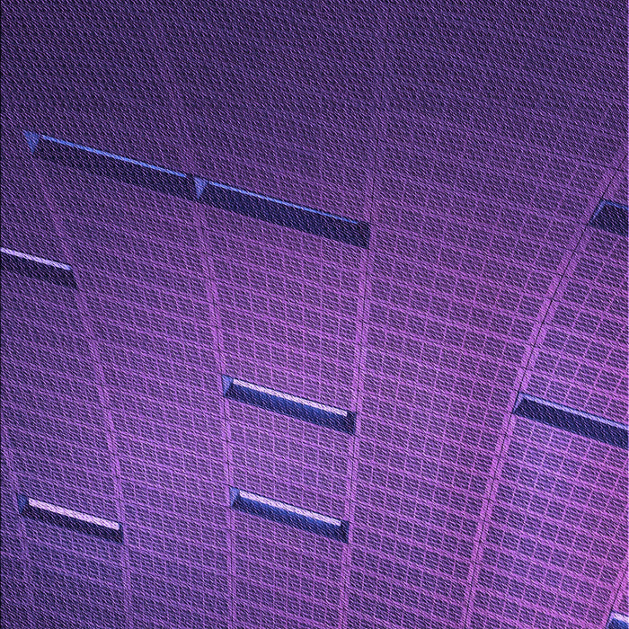 Machine Washable Transitional Jasmine Purple Rug, wshpat228pur