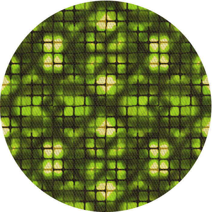 Square Machine Washable Transitional Dark Forest Green Rug in a Living Room, wshpat2294yw