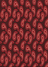 Machine Washable Transitional Crimson Red Rug, wshpat2295rd