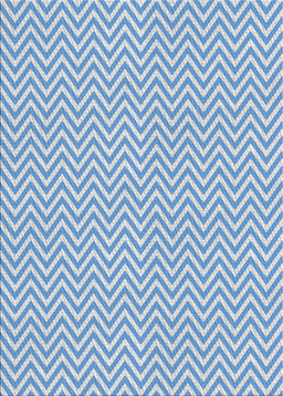 Patterned Blue Novelty Rug, pat22