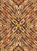 Patterned Orange Rug, pat230org