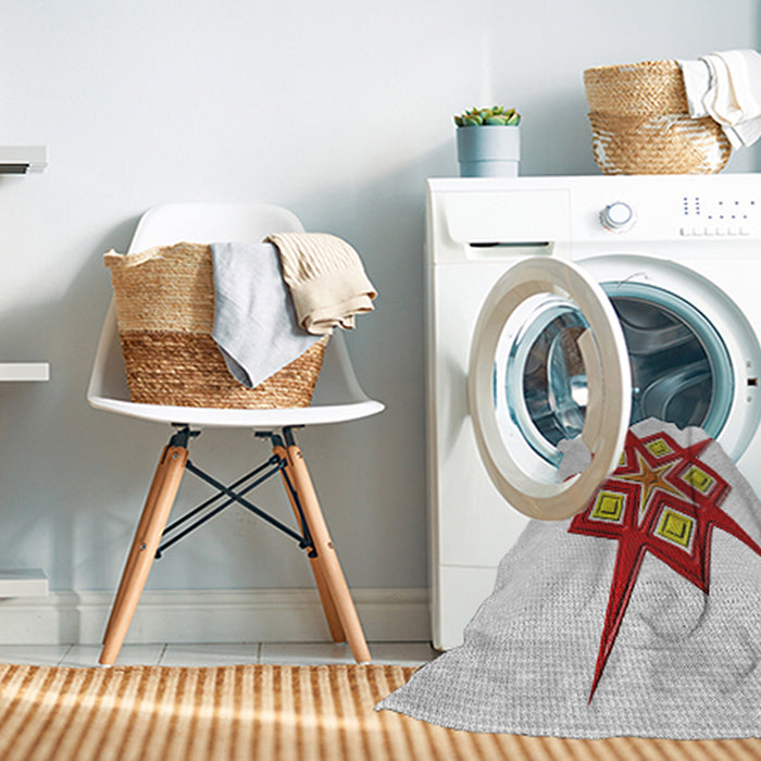 Machine Washable Transitional Rust Pink Rug in a Washing Machine, wshpat2303