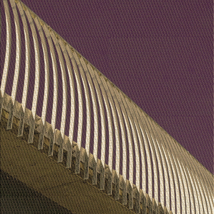 Patterned Dark Almond Brown Rug, pat2306brn