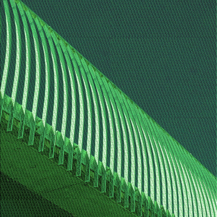 Patterned Deep Teal Green Rug, pat2306grn