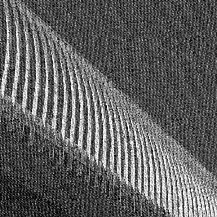 Patterned Charcoal Black Rug, pat2306gry