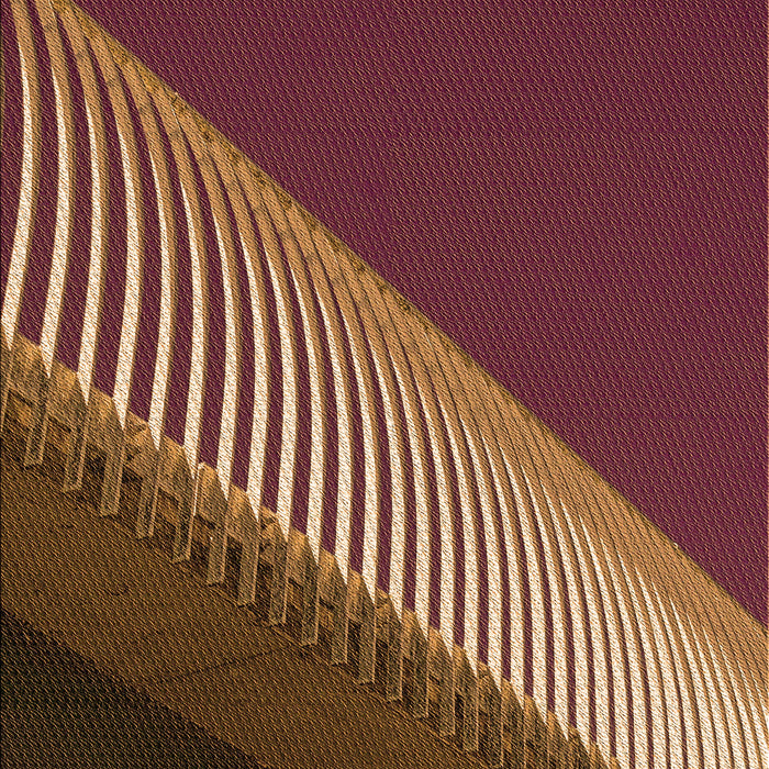 Patterned Vermilion Red Rug, pat2306org