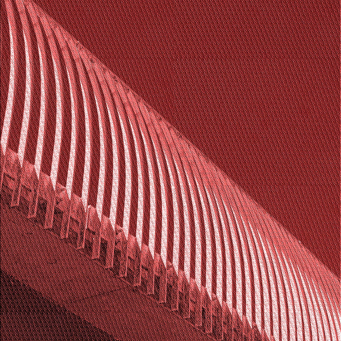 Machine Washable Transitional Red Rug, wshpat2306rd