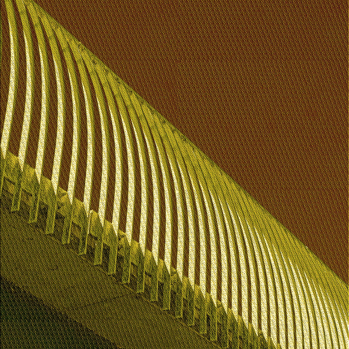 Patterned Red Rug, pat2306yw