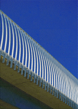 Machine Washable Transitional Koi Blue Rug, wshpat2306