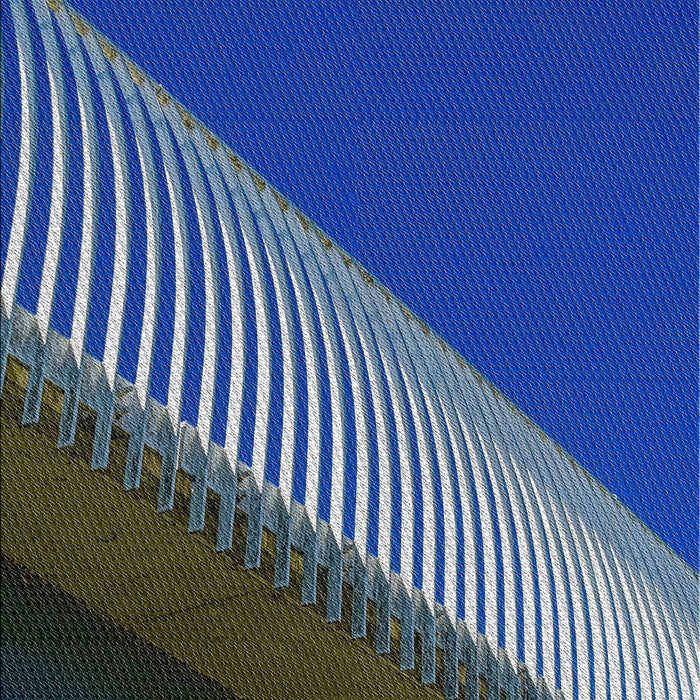 Machine Washable Transitional Koi Blue Rug, wshpat2306