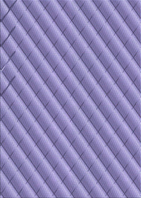 Machine Washable Transitional Purple Mimosa Purple Rug, wshpat2308blu