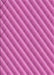 Patterned Deep Pink Rug, pat2308pur