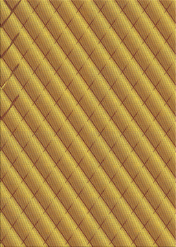 Machine Washable Transitional Mahogany Brown Rug, wshpat2308