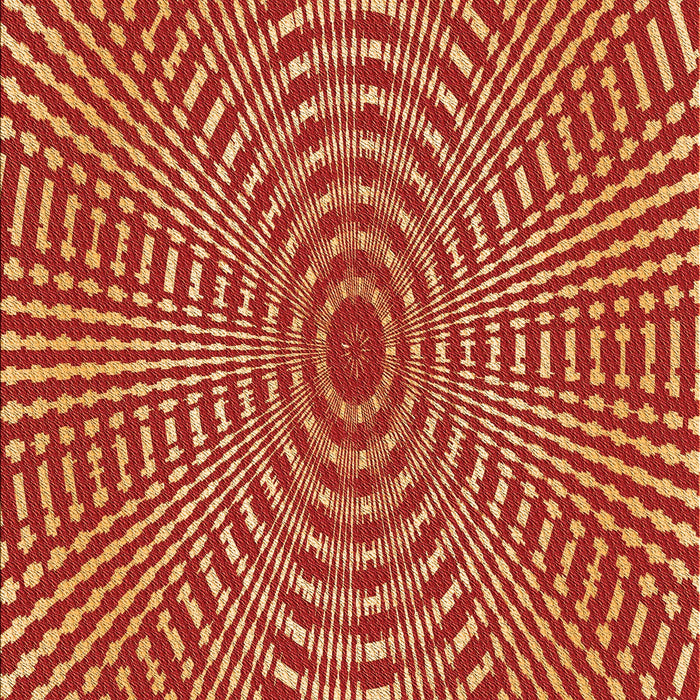 Patterned Orange Rug, pat2312org