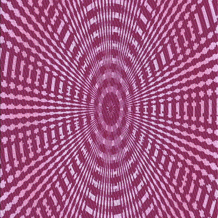 Machine Washable Transitional Raspberry Red Rug, wshpat2312pur